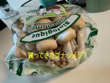 夏休みの自由研究提出・キノコの再生