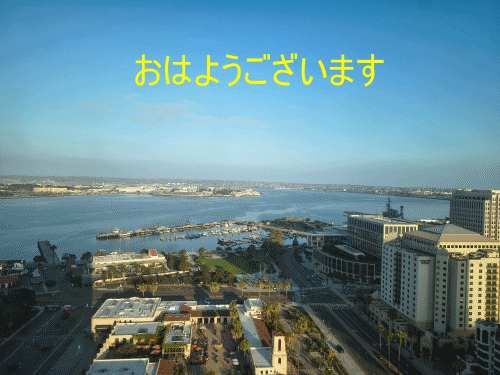 おひとりさまでした