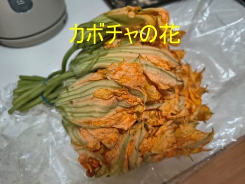 カボチャの花を食す